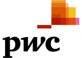 PwC Japan合同会社_logo